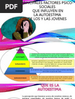 Principales Factores Psicosociales Que Influyen en El Autoestima