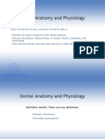 Dental Anatomy and Physiology