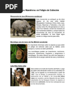 Animales Mamíferos en Peligro de Extinción