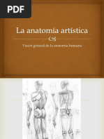 La Anatomía Artística