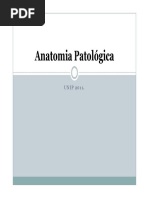 Bases Diagnósticas - Anatomia Patológica