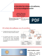 Ciclo Circadiano