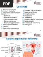 Neisseria Gonorrhoeae