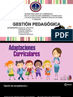 Adaptacion Curricular