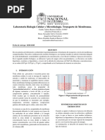 Informe Membranas