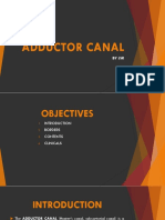 Adductor Canal