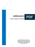 Cv-Cesar Checcllo PDF