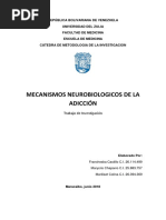 Bases Neurobiologicas de La Adiccion