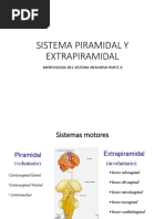 8 Ib Sistema Piramidal y Extrapiramidal