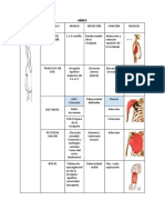 Tabla Músculos Diagonales