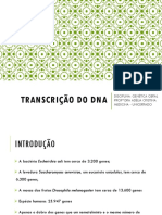 Tema 7 - Transcrição Do Dna