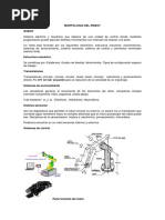 Robotica Industrial