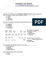 Chromosomes and Heredity Review