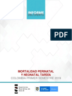 Mortalidad Perinatal y Neonatal INS