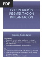 Fecundación, Segmentación e Implantación