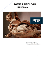 Apostila de Anatomia PDF