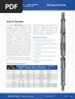 D&L Double Grip Pkr-Asi-Xpacker1c PDF