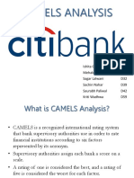 CAMELS Analysis OF CITI Bank