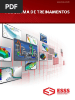 ESSS Treinamento 2011 PDF