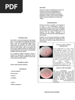 Informe de Biologia 2