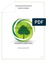 Informe Final de Seminario Cabrera Meybel PDF