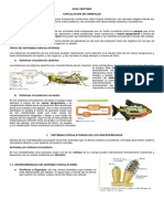 Guia Circulacion en Animales Grado Septimo