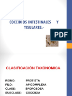 Coccidios Intestinales y Tisulares