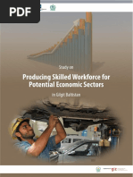 Study of Potential Economic Sectors in Gilgit Baltistan PDF