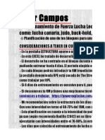 Planificación Fuerza Lucha Leonesa 1