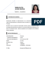 CV Maria Elita Sanchez Burga