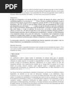 La Queratitis Infecciosa Es Una de Las Principales Causas Mundiales de Discapacidad Visual y Ceguera