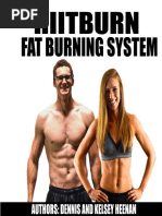 HB Fat Burning System