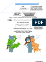 Formação Das Grandes Áreas Metropolitanas (11.º)