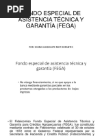 Fega Finanzas