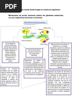 Anatomia Tarea 9