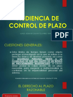 Audiencia de Control de Plazo