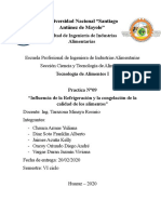 Informe de Congelacion de Alimentos