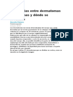 Diferencias Entre Dermatomas y Miotomas y Dónde Se Localizan