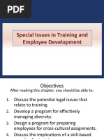 Special Issues in Training and Employee Development