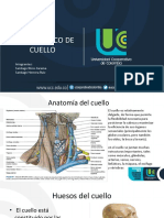 Examen Fisico de Cuello