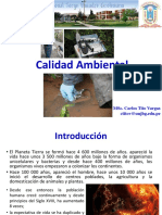 1 Introducción Calidad Ambiental