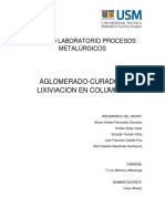 Aglomerado-Curado y Lixiviación en Columnas