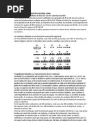 El Sistema de Numeración Vigesimal Maya Trabajo Jose