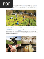 La Agricultura Se Define Como