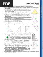 Taller Triángulos Rectángulos