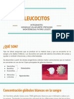 LEUCOCITOS