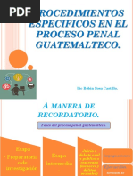 Procedimientos Especificos en El Proceso Penal Guatemalteco