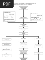 Pathophysiology of Preeclampsia