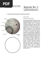 Procedimientos Histológicos