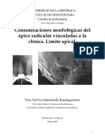 Martinelli - CONSIDERACIONES MORFOLÓGICAS DEL ÁPICE RADICULAR - v3